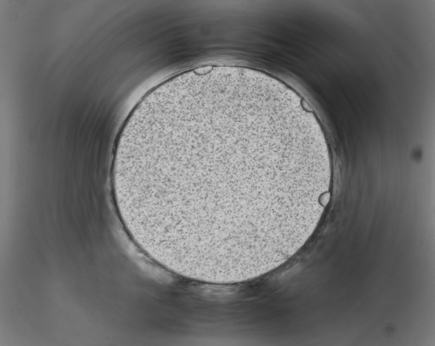 X0000115540861200912181527