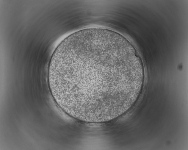 X0000115540862200912181527
