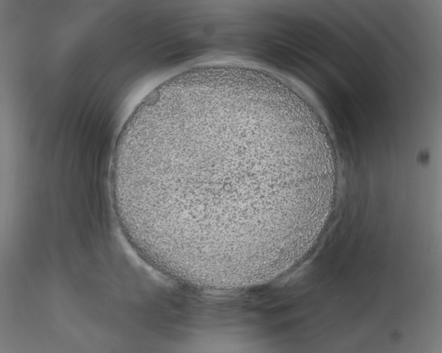 X0000115540863200912181527