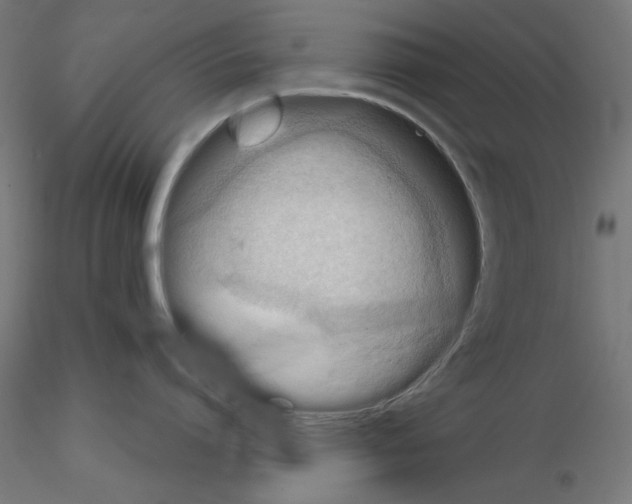 X0000115540864200912181527