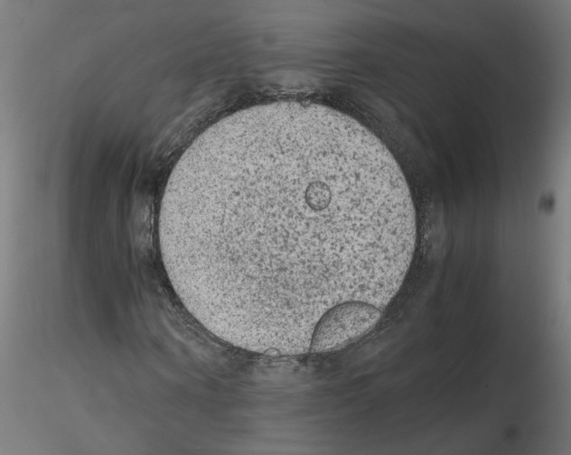 X0000115540866200912181527