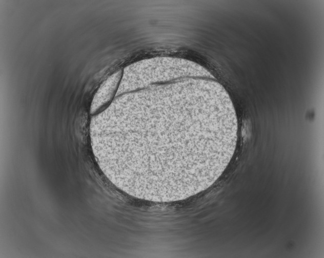X0000115540867200912181527