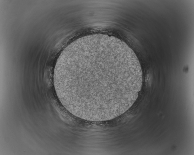 X0000115540868200912181527