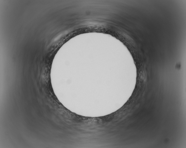 X0000115540869200912181527