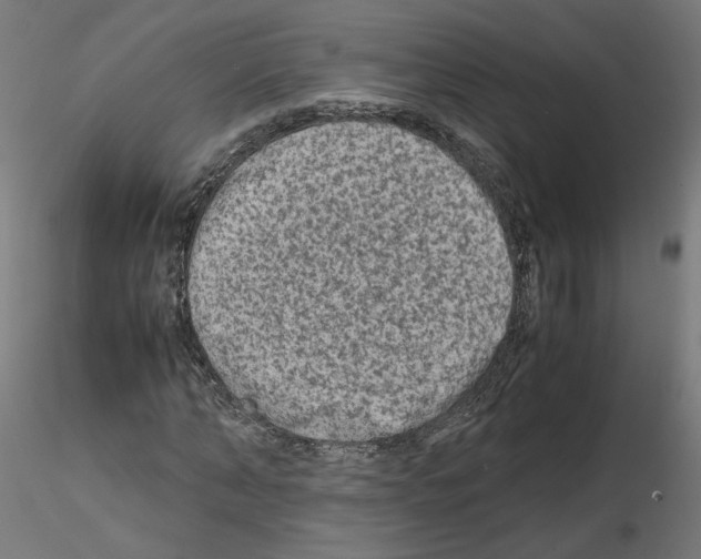 X0000115540870200912181526