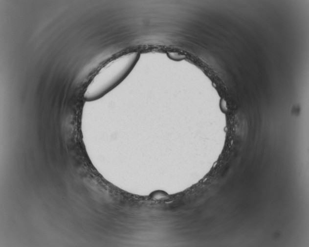 X0000115540872200912181526