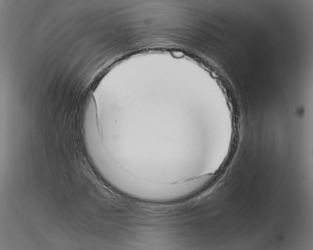 X0000115540873200912181526