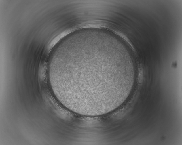 X0000115540874200912181526