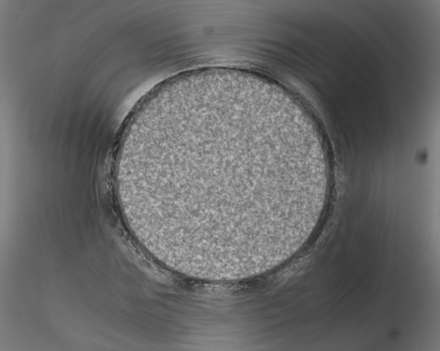 X0000115540875200912181526