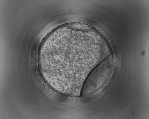 X0000115540877200912181526