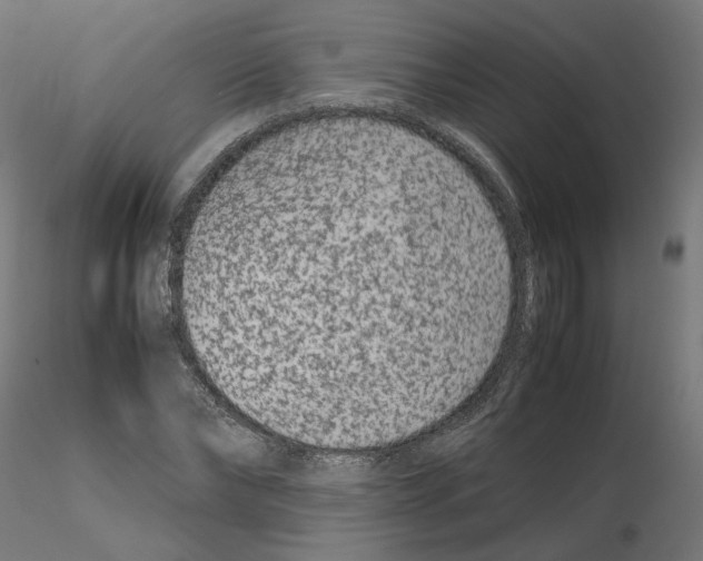 X0000115540878200912181526