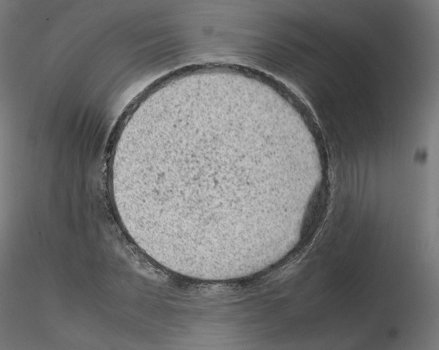 X0000115540879200912181526