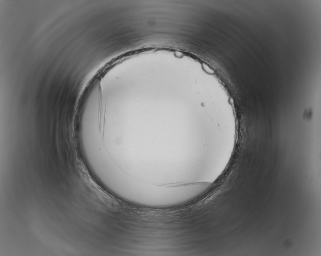 X0000115540880200912181526