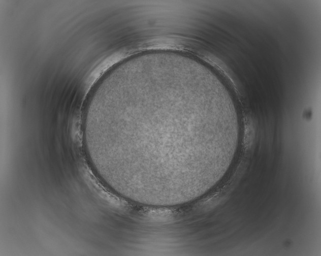 X0000115540882200912181526