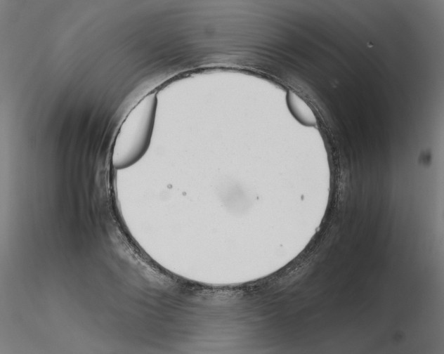 X0000115540884200912181526