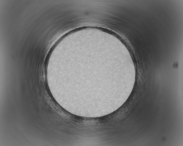 X0000115540887200912181526
