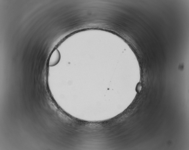 X0000115540888200912181526