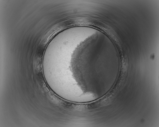 X0000115540889200912181526
