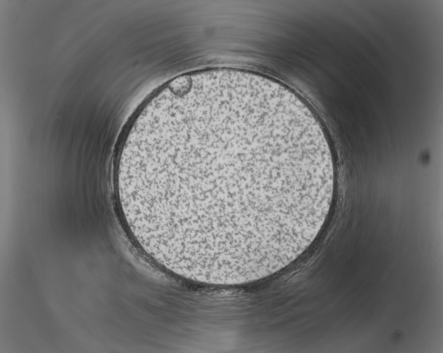 X0000115540891200912181526