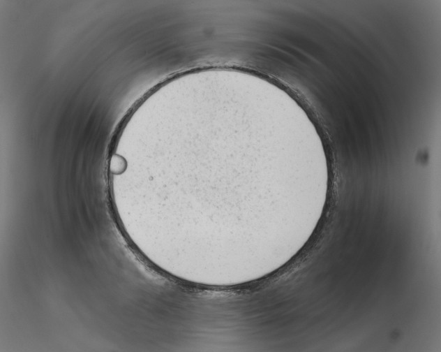 X0000115540894200912181526