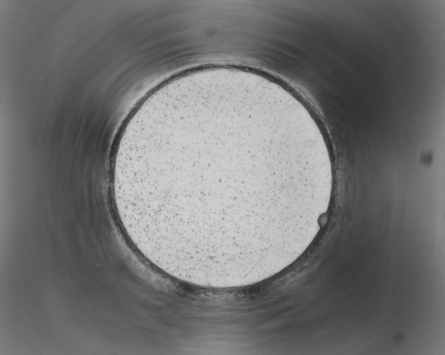 X0000115540895200912181526