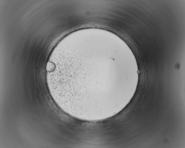X0000115540896200912181526