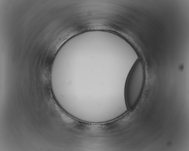 X0000115540897200912181526