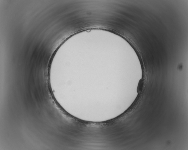 X0000115540898200912181526