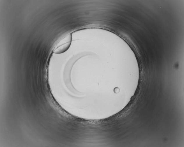 X0000115540900200912181526