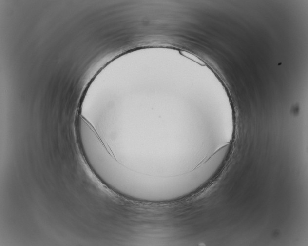 X0000115540901200912181526