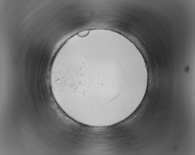 X0000115540904200912181526