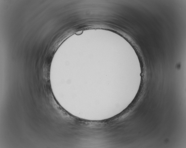 X0000115540905200912181526
