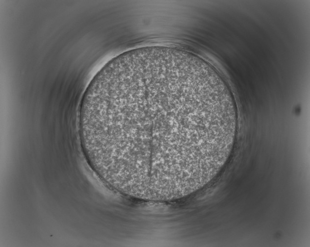 X0000115540907200912181526