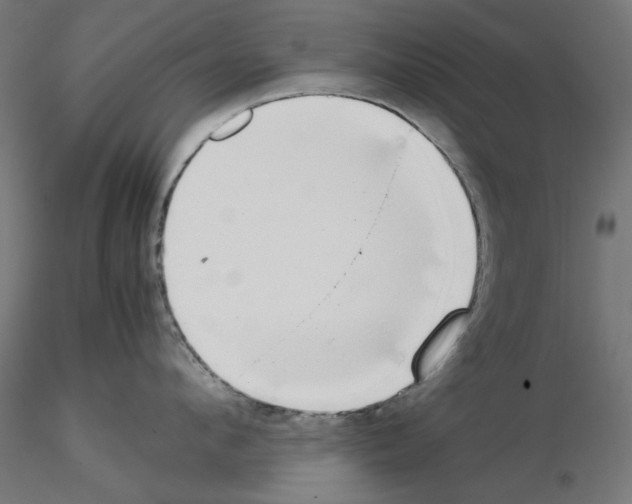 X0000115540912200912181526