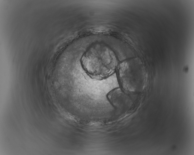 X0000115540913200912181525