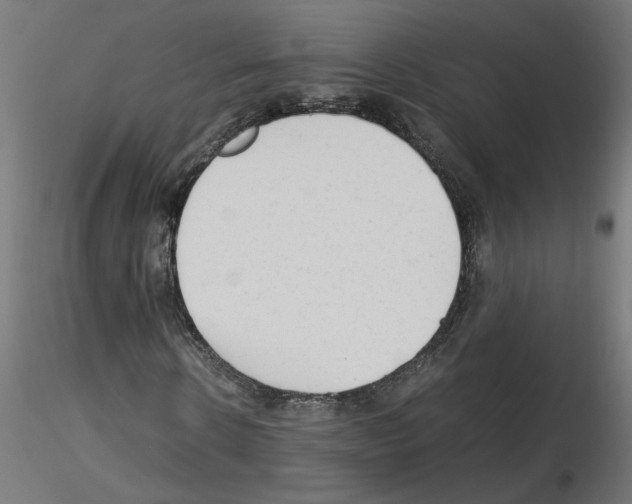 X0000115540914200912181525