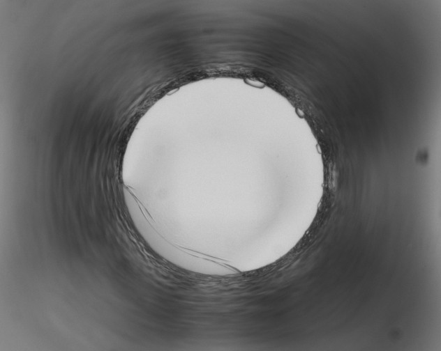 X0000115540915200912181525