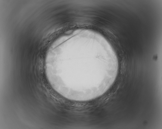 X0000115540917200912181525