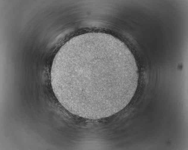 X0000115540918200912181525
