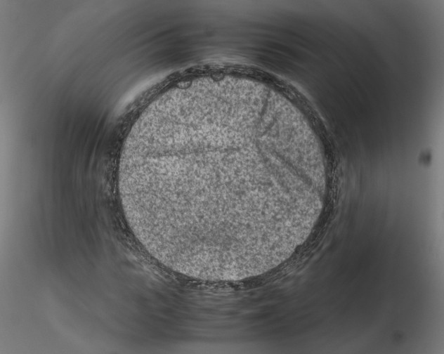 X0000115540919200912181525