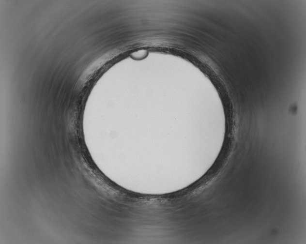 X0000115540922200912181525