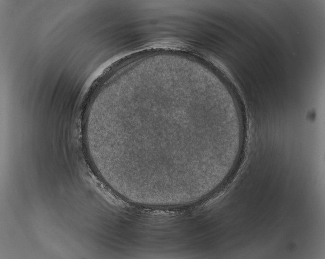 X0000115540923200912181525