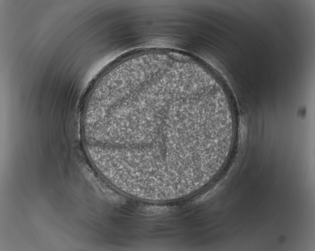 X0000115540925200912181525
