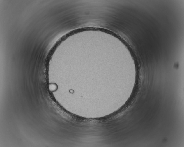 X0000115540926200912181525