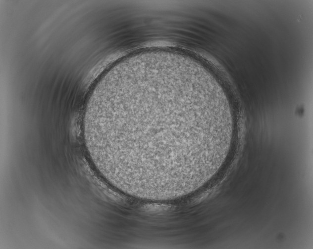 X0000115540929200912181525