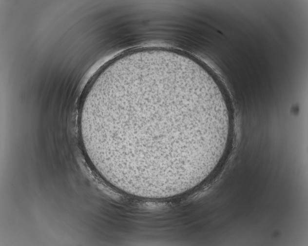 X0000115540933200912181526