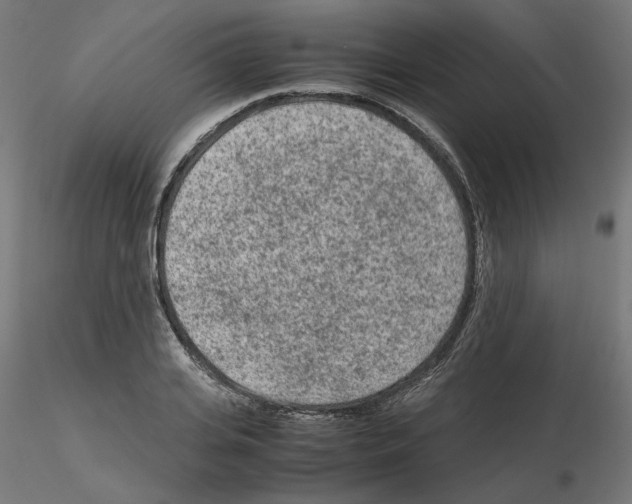 X0000115540935200912181526