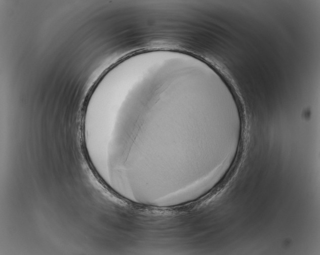 X0000115540941200912181526