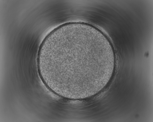 X0000115540943200912181526