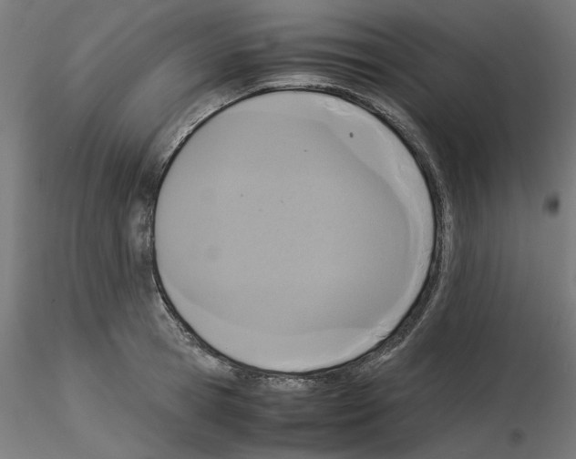 X0000115540945200912181526